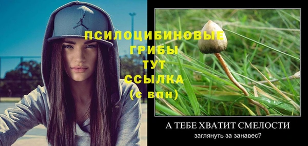 mix Коряжма