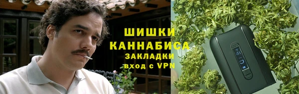 сатива Костерёво