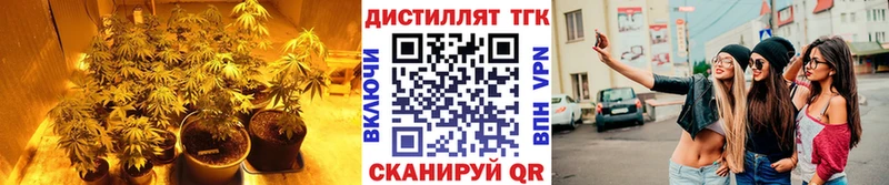 Купить  Зубцов  ТГК вейп 