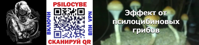 Купить закладки  Зубцов  Псилоцибиновые грибы Psilocybine cubensis 